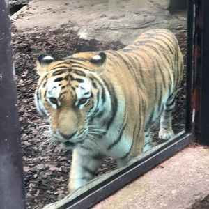 Meet your Posher, Faith